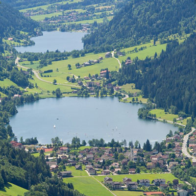 Brennsee